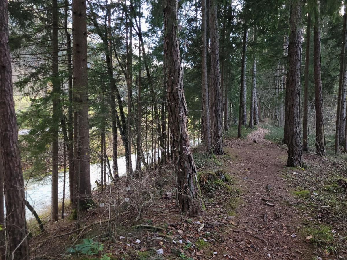 Apartma M&J Mojstrana Exteriér fotografie